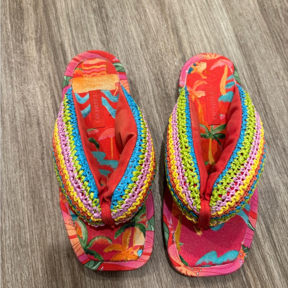 Farm Rio toucans puffy rainbow flip flops size 9. Like new.
